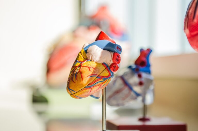 3 notti insonni cuore