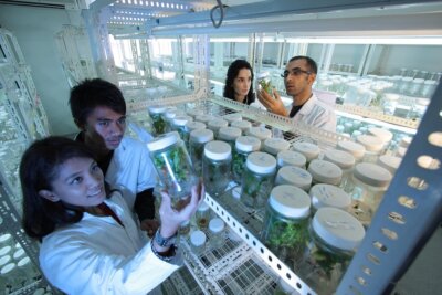 scienziati tardigradi nanoingegneria