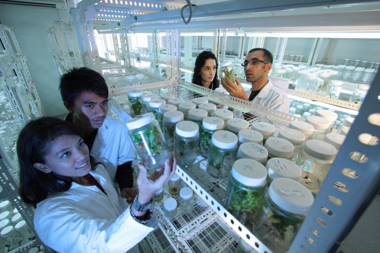 scienziati tardigradi nanoingegneria