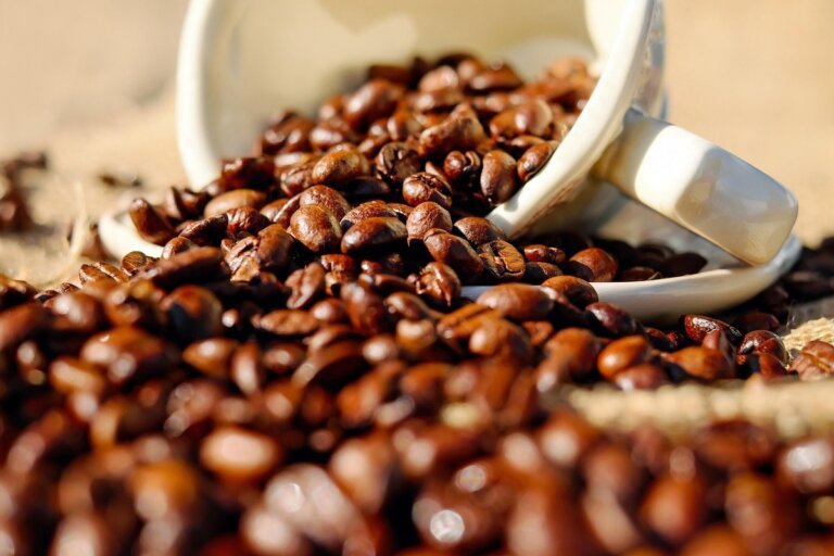 caffeina longevità spinta energetica