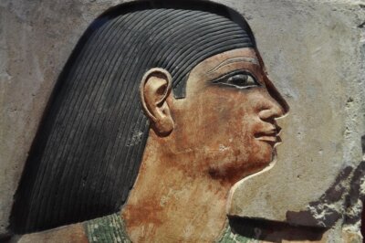 fungo Tutankhamon leucemia