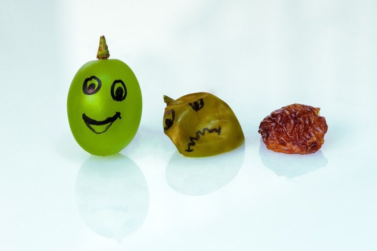 proteina ReHMGB1 invecchiamento