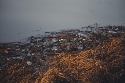 plastica paracetamolo batteri