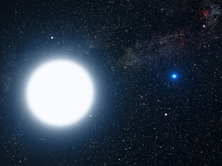 pulsar compagna stellare