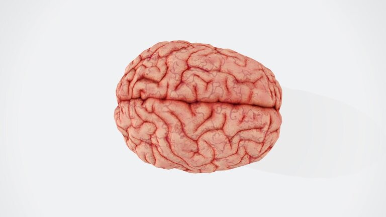 cervello disturbi nascosti