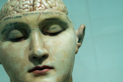 covid-19 alzheimer placche