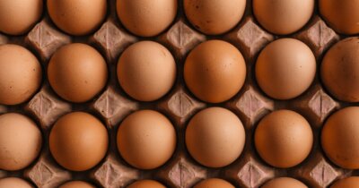 uova-alimentazione-salute-colesterolo