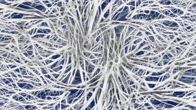 Neuralink, comunicazione telepatica