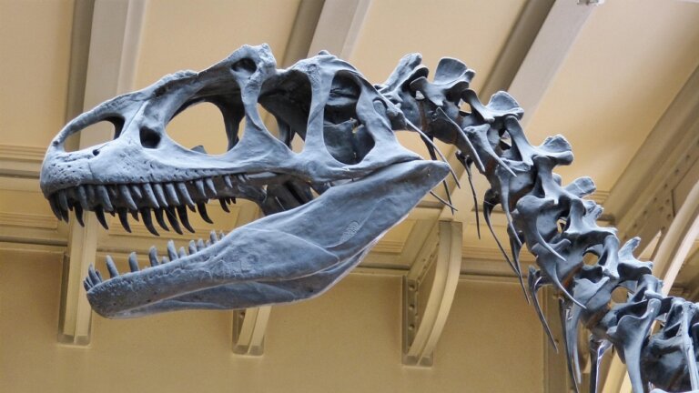 dinosauro
