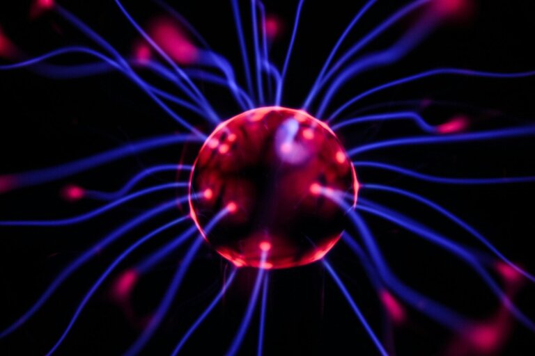 cervello realtà immaginazione