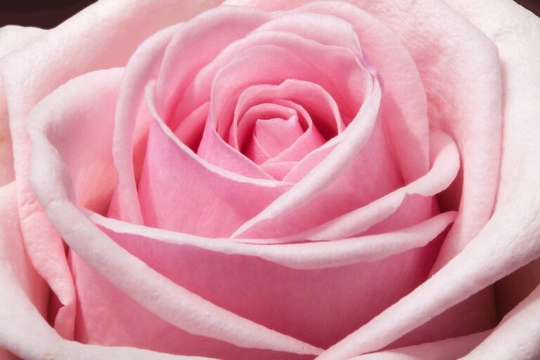 sensore diamante cancro seno