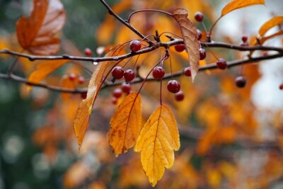 estate previsioni autunno