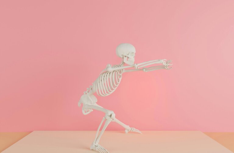 osteoporosi proteina Basigin, ossa