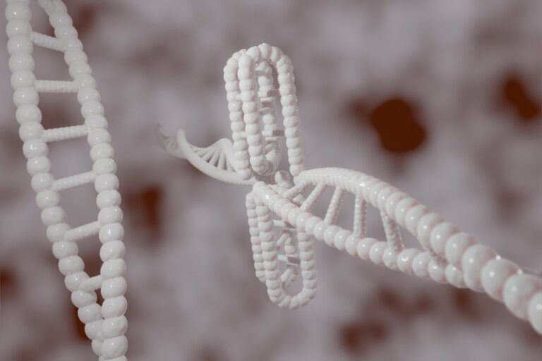 segnali genetici, schizofrenia, autismo