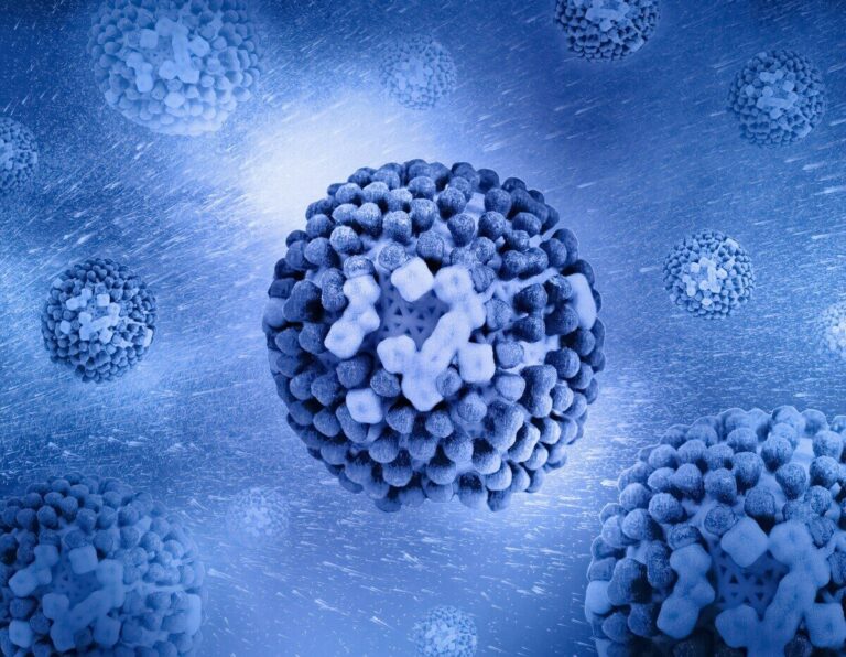 influenza, anticorpi, trattamento universale