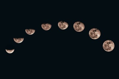 missioni lunari microbi terrestri