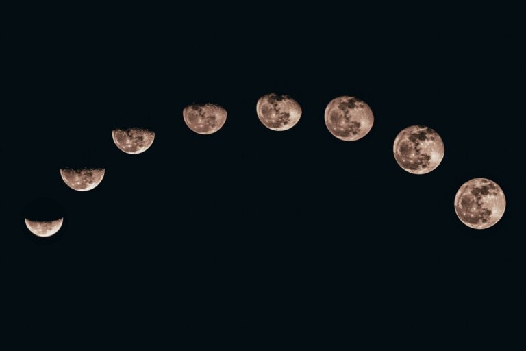 missioni lunari microbi terrestri