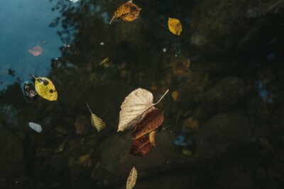 ansia autunnale, cause, rimedi