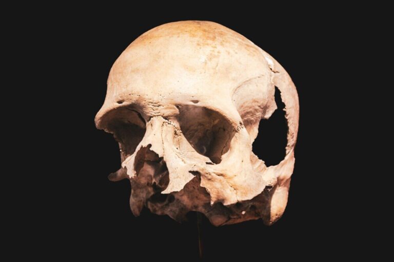 estinzione Neanderthal