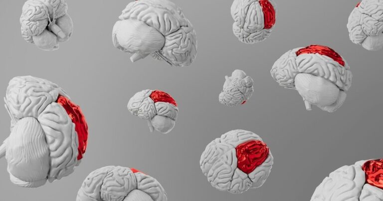alzheimer-proteina-cervello-salute
