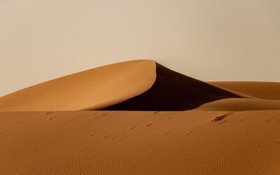 pioggia sahara verde