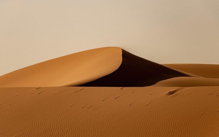 pioggia sahara verde
