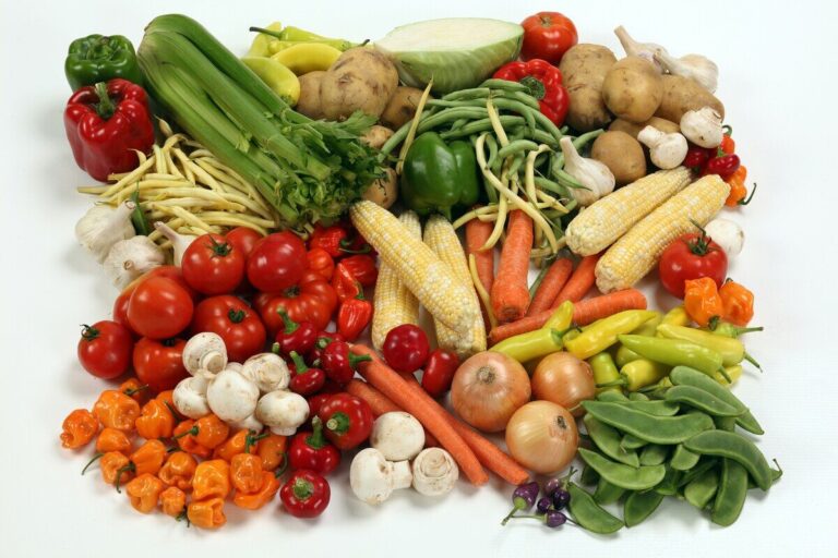 dieta sostenibile salute pianeta