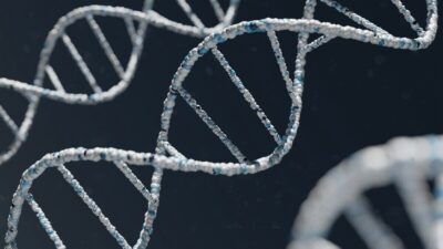cervello dna abusi minori