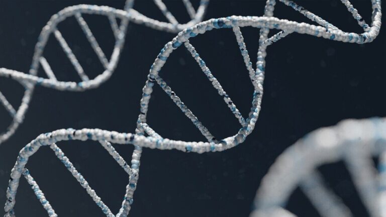 cervello dna abusi minori