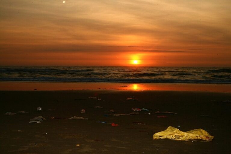 Questo processo biologico rimodella il modo in cui gli scienziati interpretano i cicli globali dello zolfo e del ferro. Anticipando le reazioni chimiche, questi microbi potrebbero contribuire a fermare la diffusione delle zone morte oceaniche e a mantenere l'equilibrio ecologico.