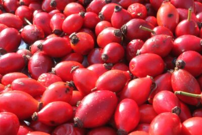 flavonoidi