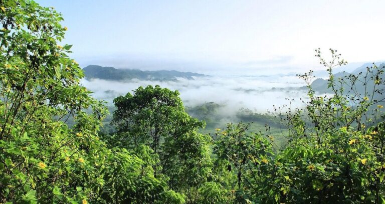 Amazzonia ipertropicale