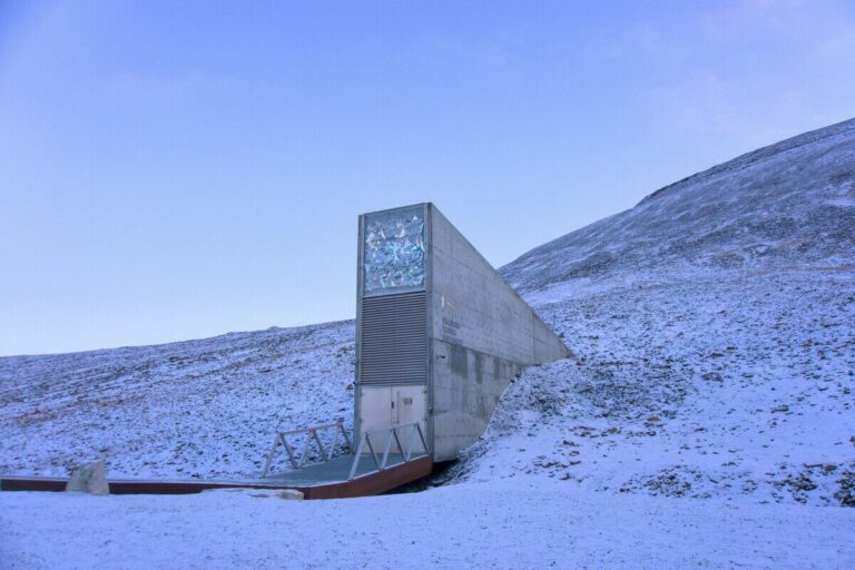 cassaforte vita svalbard