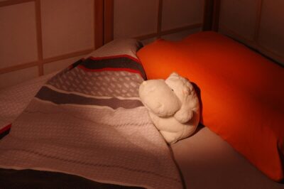 stress emotivo sonno
