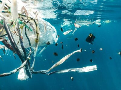 plastica mare polimero