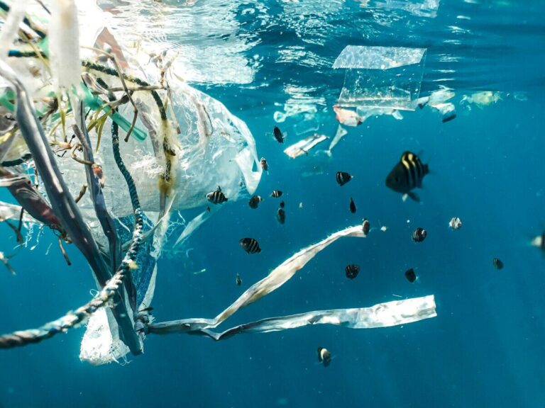 plastica mare polimero