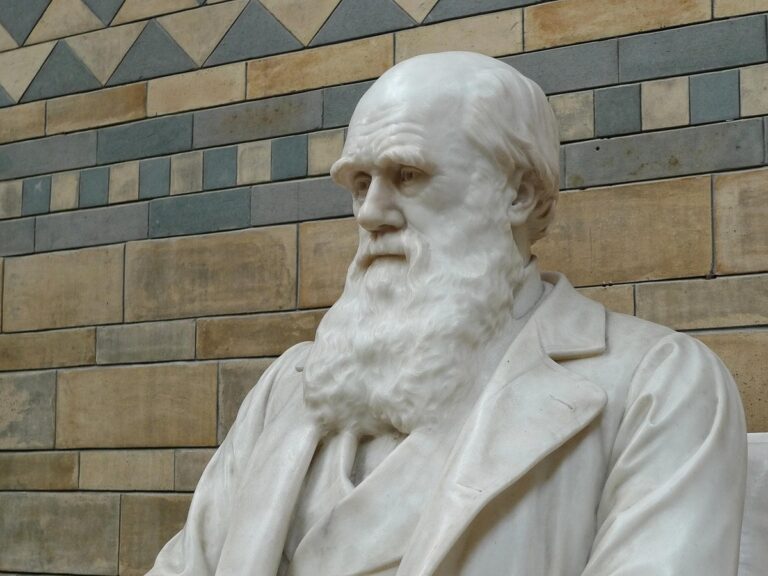 evoluzione dilemma Darwin