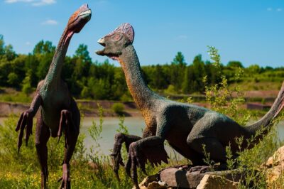 ceratopsidi storia dinosauri
