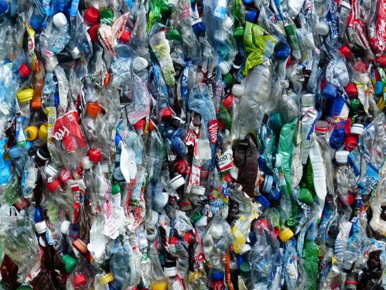 microplastica