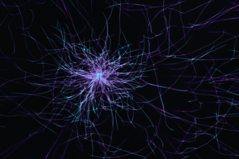 onde cerebrali robotica