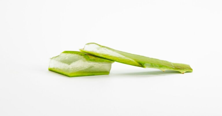 alzheimer-effetto-aloe-vera