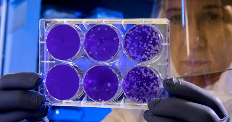 cancro-colon-virus-nuovo