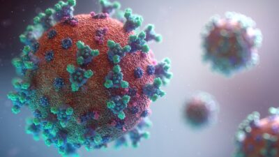 virus pericolosi uomo