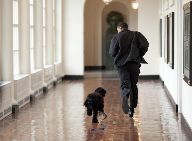 Obama extraterrestri esistenza