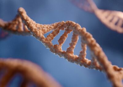 riciclo rna longevità