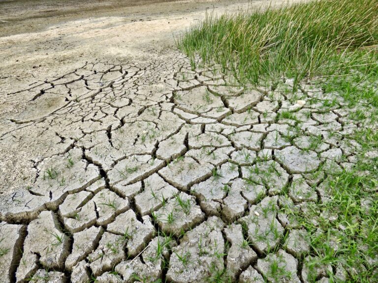clima estremo democrazia elezioni