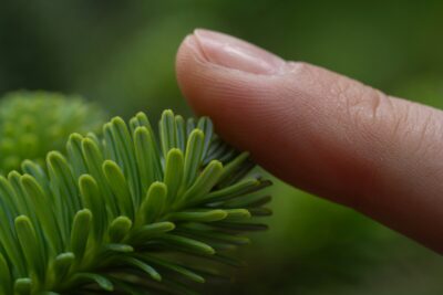 neuroplasticità ictus