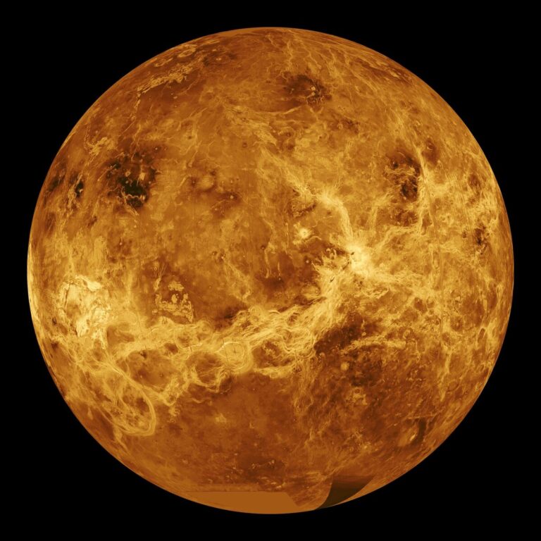 venere lavandino