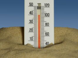 El nino caldo OMS