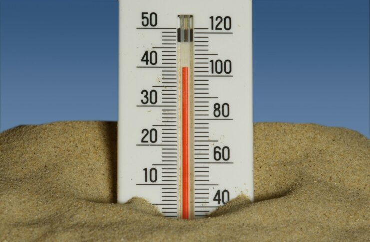 El nino caldo OMS
